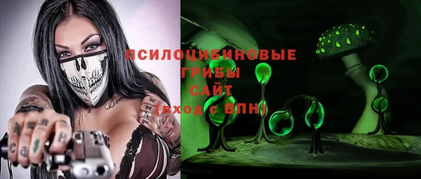 мяу мяу кристалл Ельня