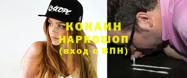 гидра Дмитров