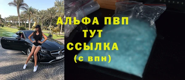 гидра Дмитров