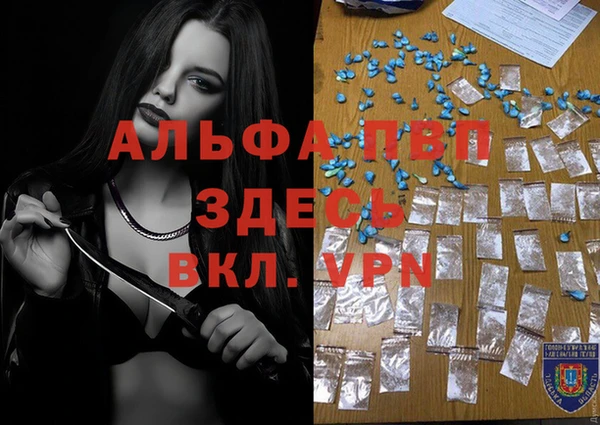 гидра Дмитров